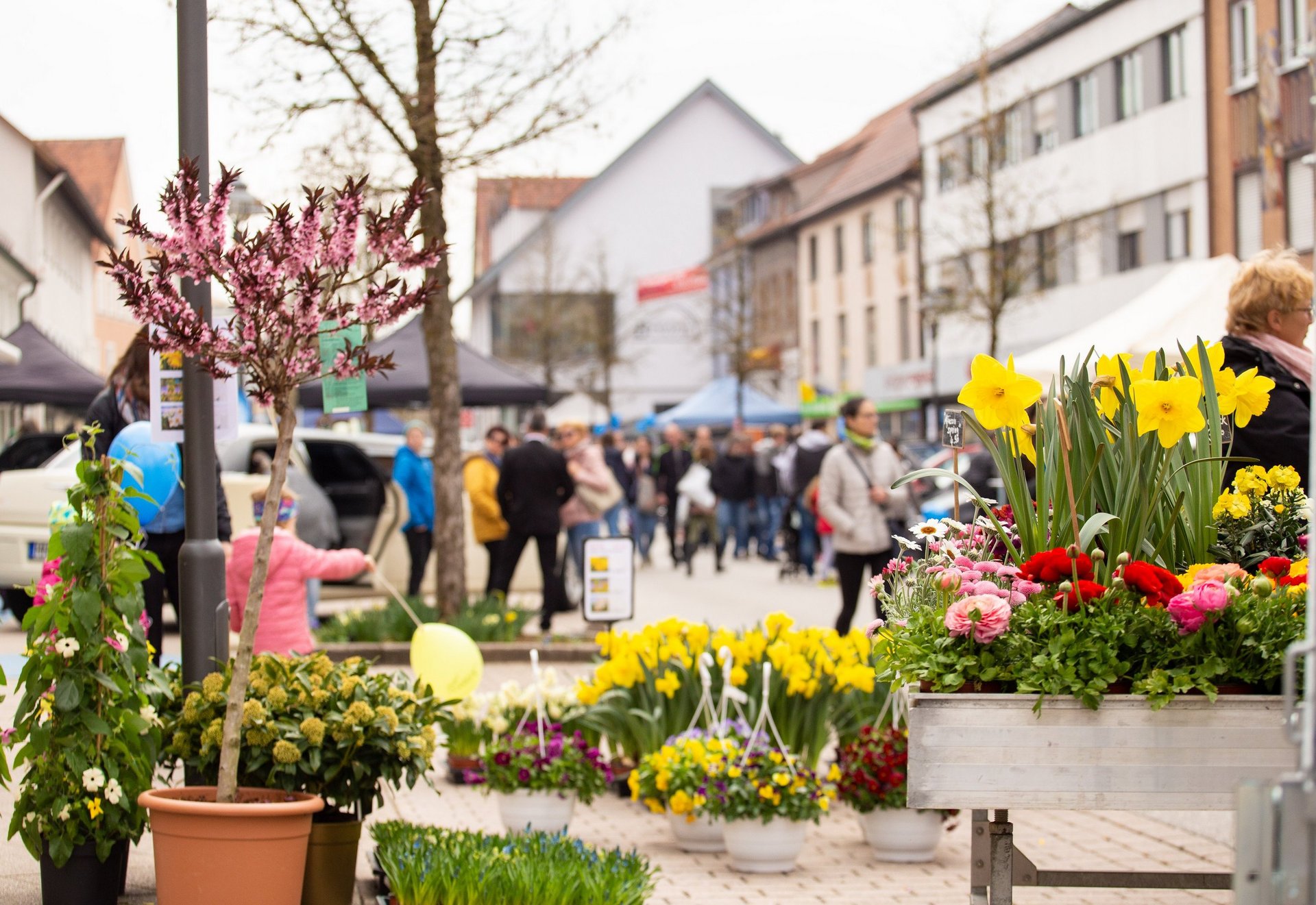 Blumen auf Marktplatz in Bad Wurzach