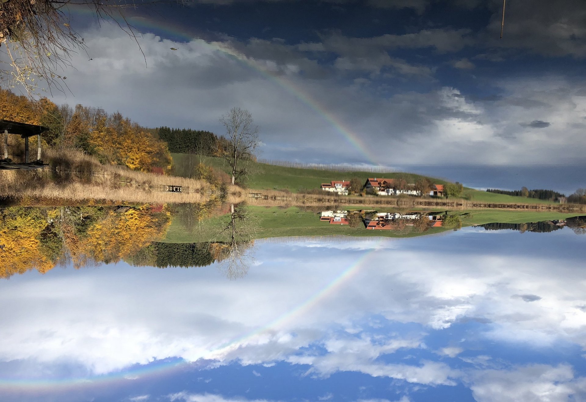 Regenbogen ueber dem Schlossweiher in Argenbuehl 