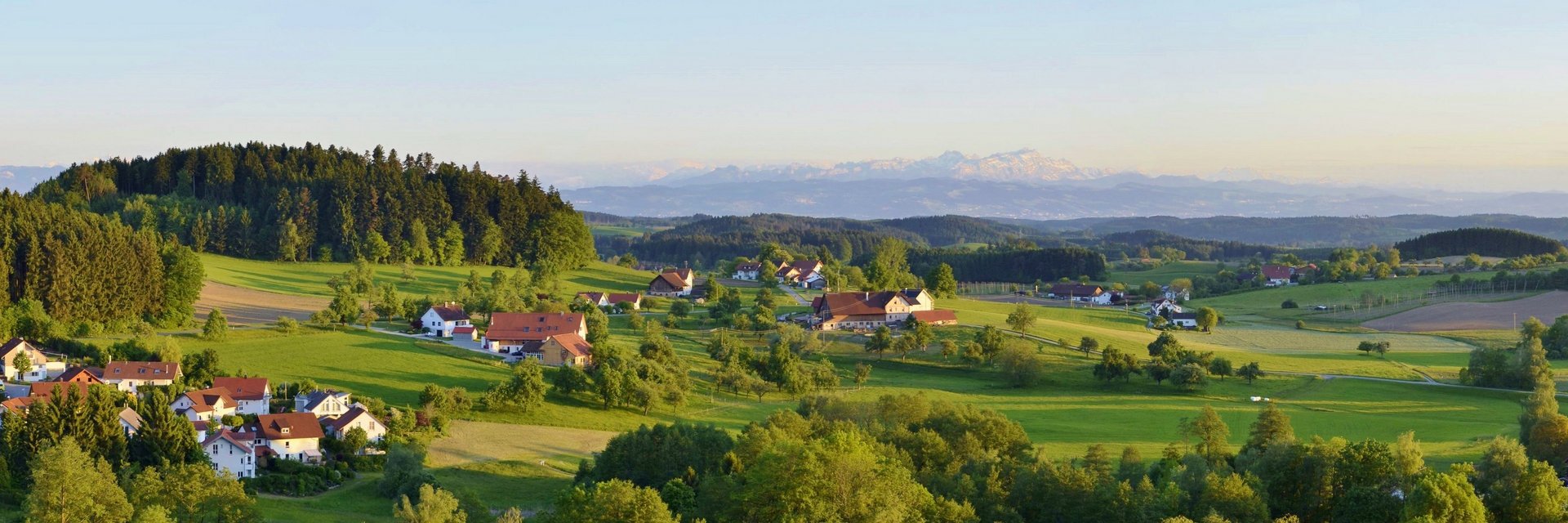 Panoramablick auf Bodnegg