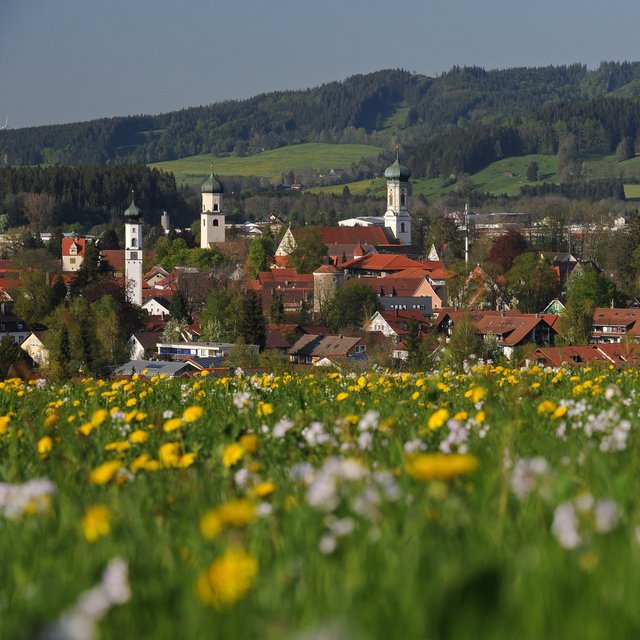 Die Stadt Isny mit vier Kirchtürmen und Hügel im Hintergrund isny-fruehling-stadtansicht-mit-loewenzahnwiese-foto-thomas-gretler__2_.jpg