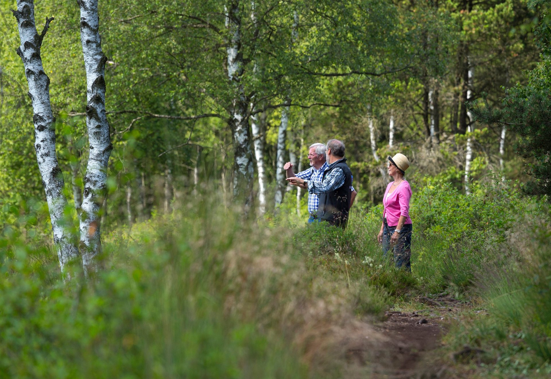 Wanderer im Wurzacher Ried 