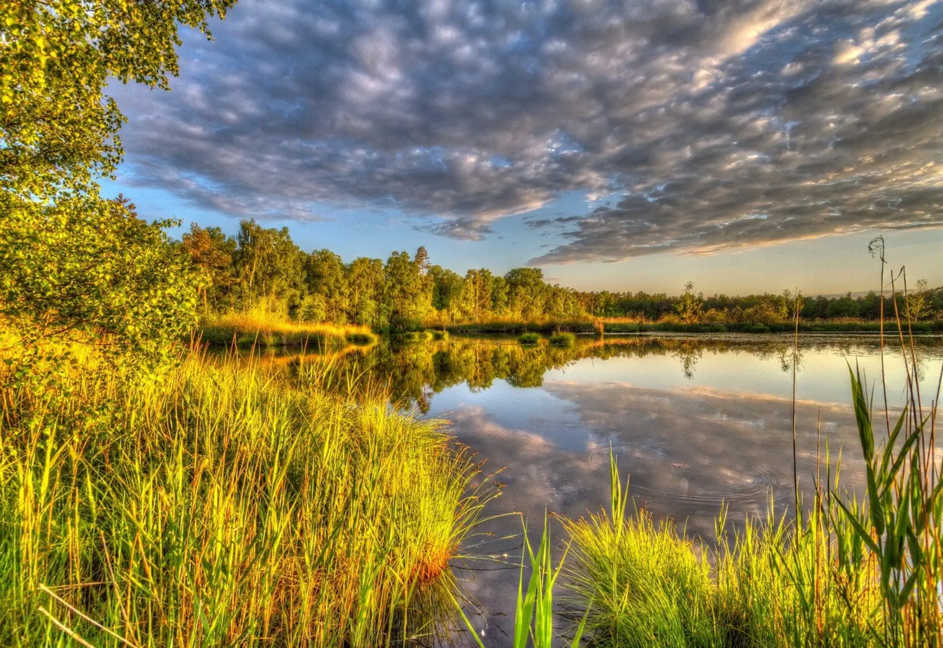 Wolkenstimmung am Riedsee im Wurzacher Ried